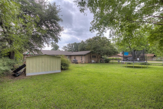 view of yard with a trampoline