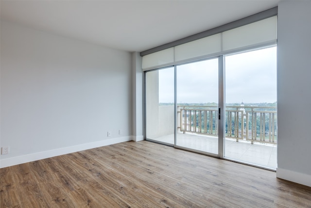 spare room featuring wood-type flooring