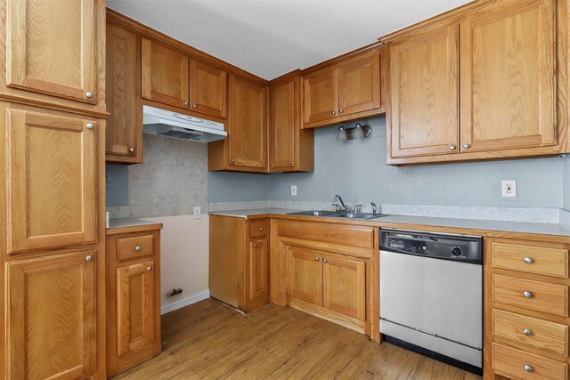 kitchen featuring dishwasher, light hardwood / wood-style floors, and sink