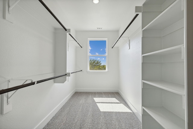 walk in closet featuring carpet flooring