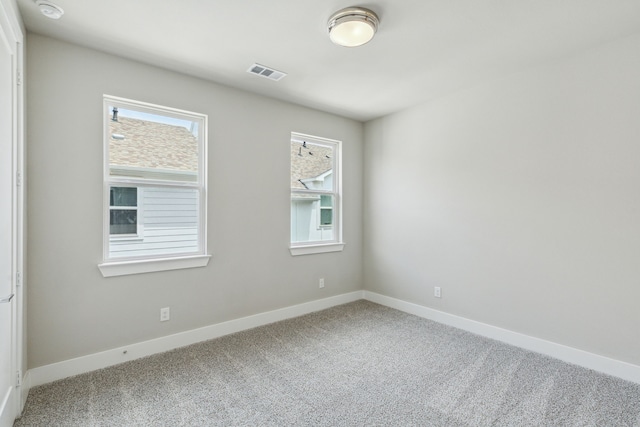 unfurnished room with carpet and a wealth of natural light