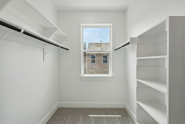 walk in closet with carpet flooring