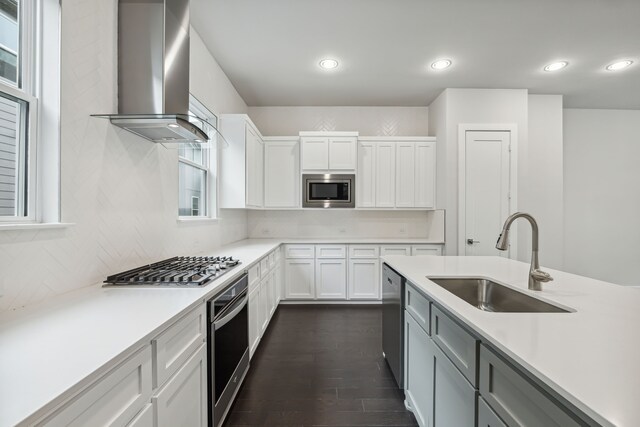 kitchen with white cabinetry, sink, dark wood-type flooring, wall chimney range hood, and appliances with stainless steel finishes