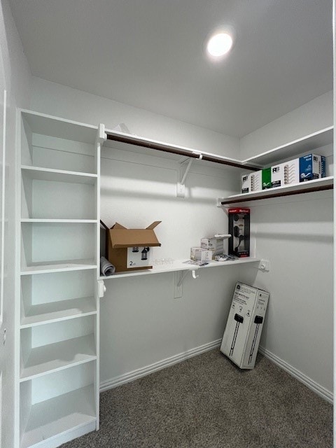 walk in closet with dark carpet