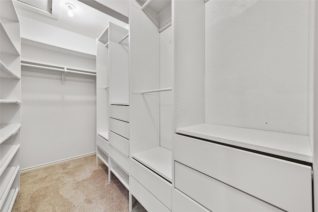 spacious closet featuring light carpet