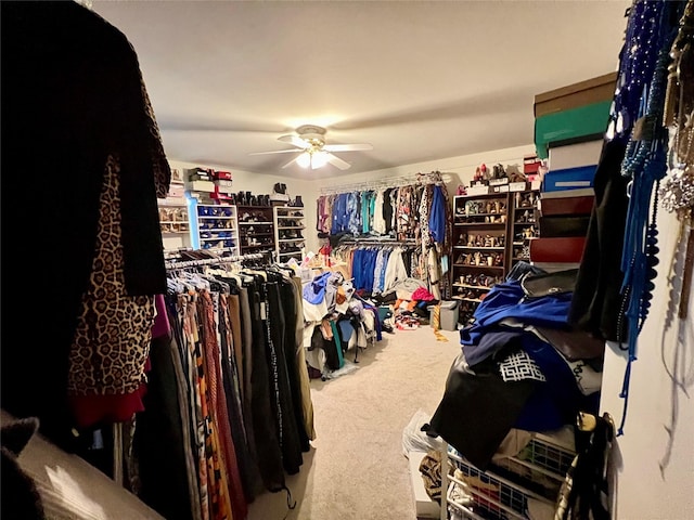 spacious closet featuring carpet and ceiling fan