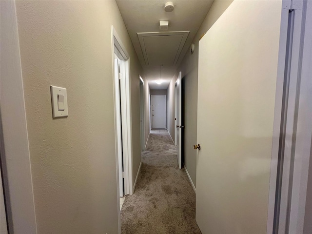 corridor featuring light colored carpet