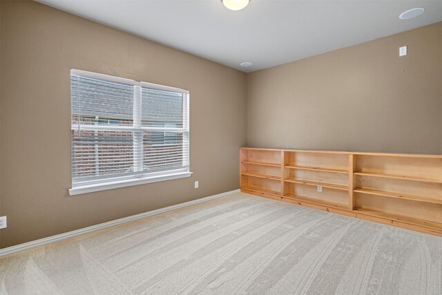 interior space with light colored carpet