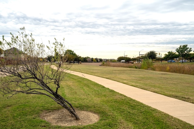 view of community with a lawn