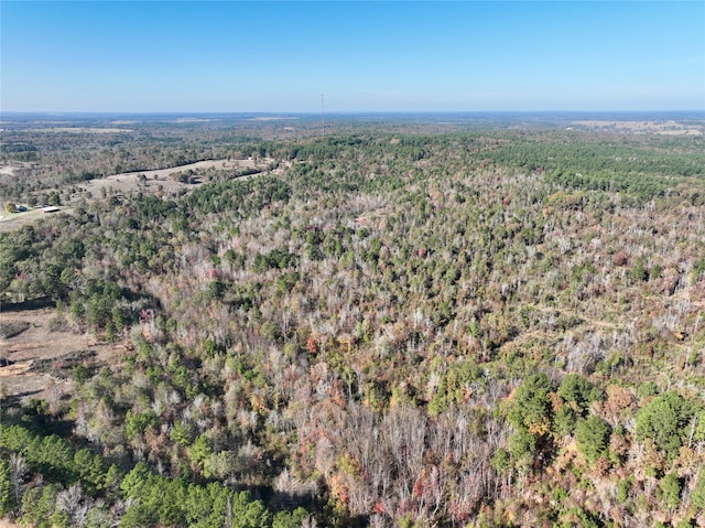 21695 County Road 240, Tyler TX, 75705 land for sale