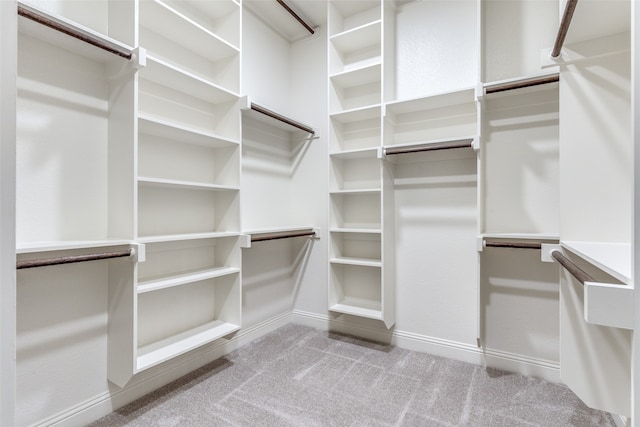 spacious closet with light carpet