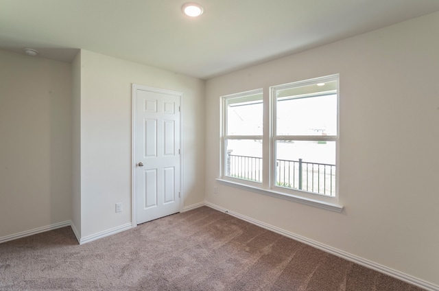 empty room featuring carpet