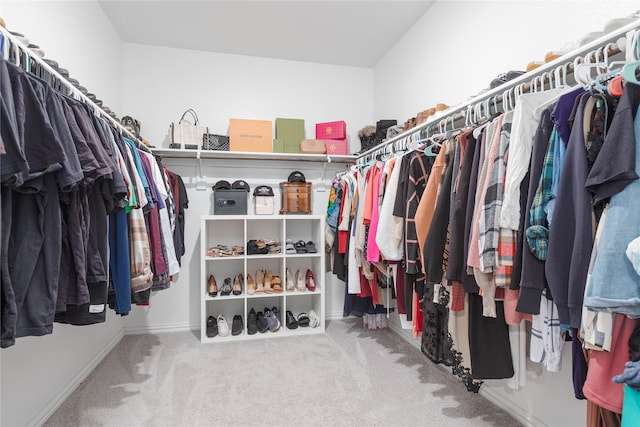 spacious closet featuring carpet flooring