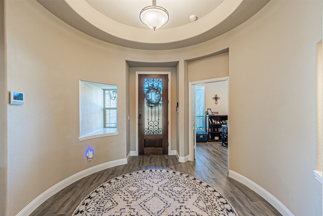 entrance foyer featuring hardwood / wood-style floors and a raised ceiling