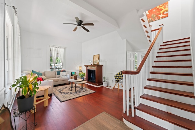 living room featuring ceiling fan and dark hardwood / wood-style flooring