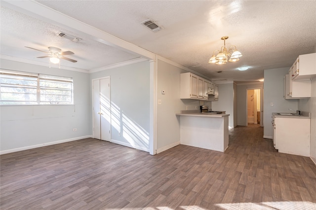 kitchen with white cabinets, dark hardwood / wood-style floors, and a textured ceiling