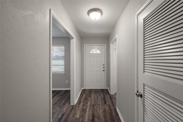 entryway with dark wood-type flooring