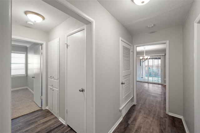 hallway with a chandelier, dark hardwood / wood-style floors, and a healthy amount of sunlight