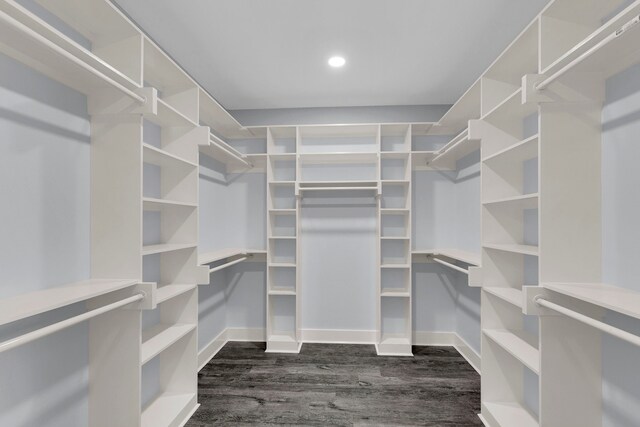 walk in closet featuring dark hardwood / wood-style flooring