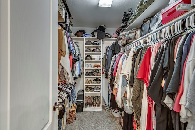 spacious closet featuring carpet flooring