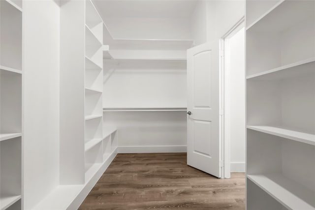 walk in closet featuring wood-type flooring