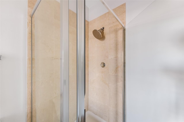 details with a shower with shower door