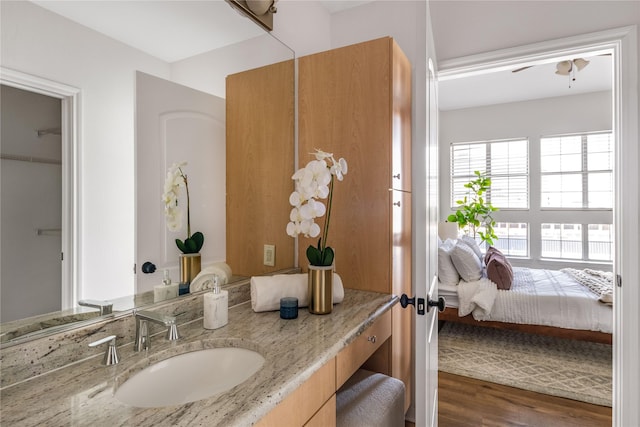 bathroom featuring wood-type flooring and vanity