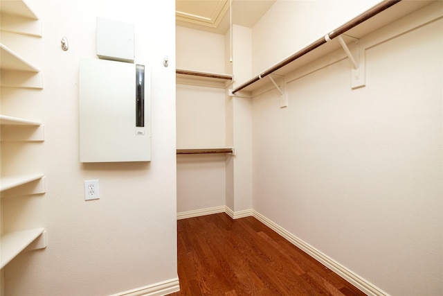 walk in closet featuring hardwood / wood-style flooring