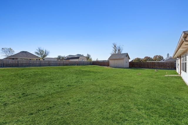 view of yard featuring a shed