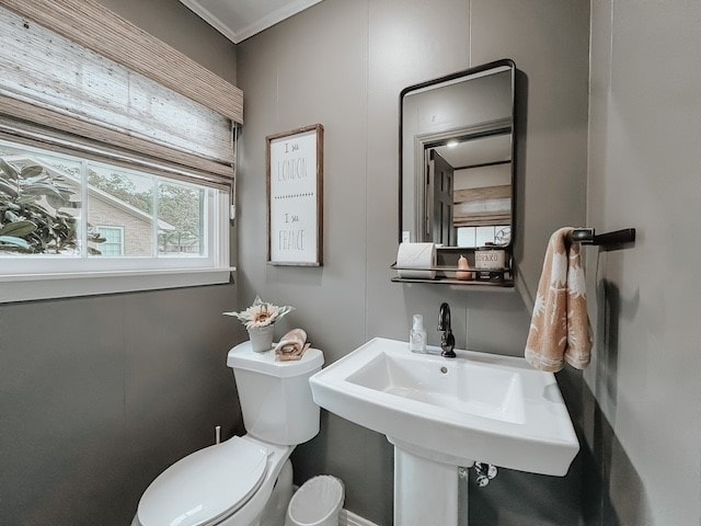 bathroom with sink, toilet, and crown molding