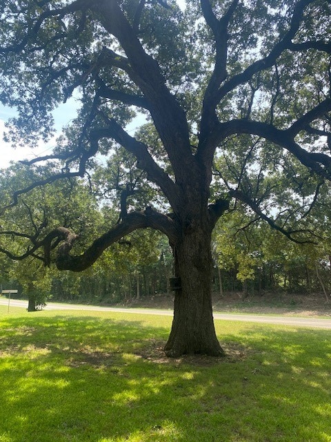 view of community featuring a yard