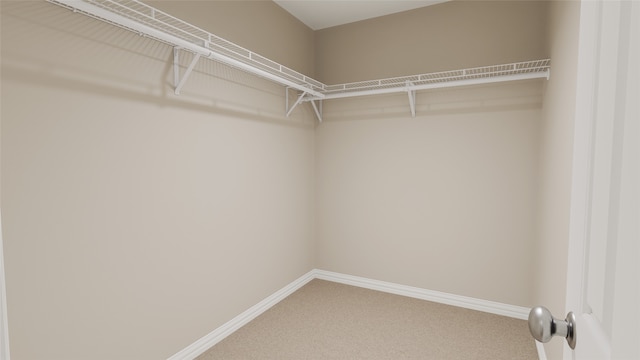 spacious closet with carpet