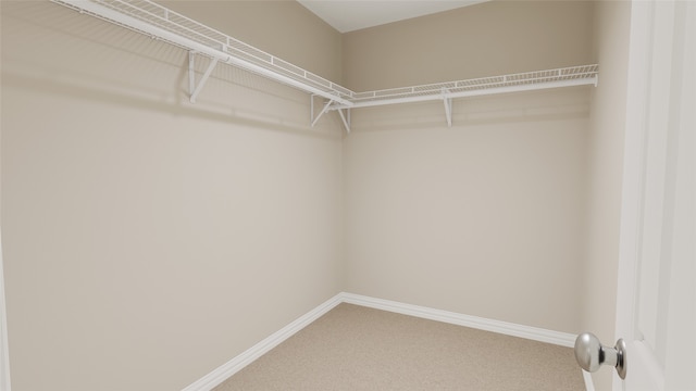 spacious closet featuring carpet