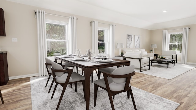 dining space featuring light hardwood / wood-style flooring and a healthy amount of sunlight