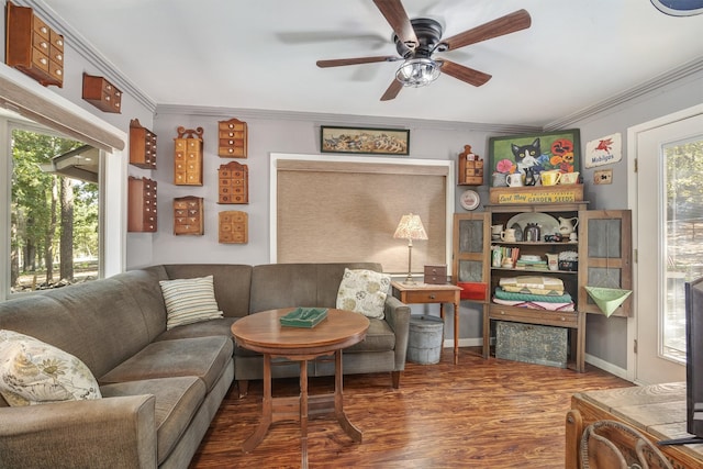 living room with crown molding, wood-type flooring, and ceiling fan