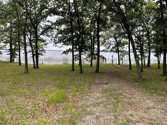 view of landscape with a water view