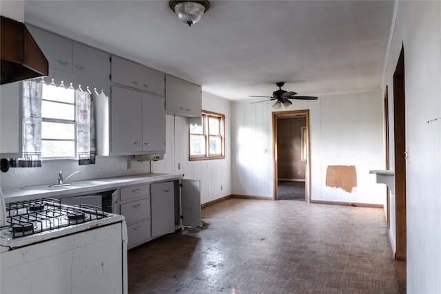 kitchen with sink, a wealth of natural light, ventilation hood, and white cabinets