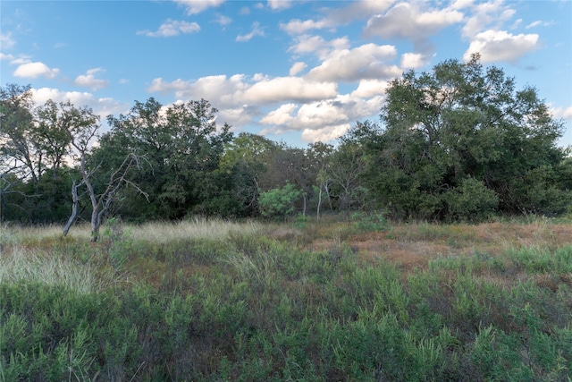 view of landscape