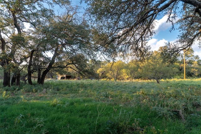 view of landscape