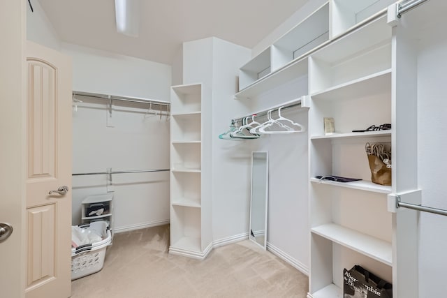 walk in closet featuring light colored carpet