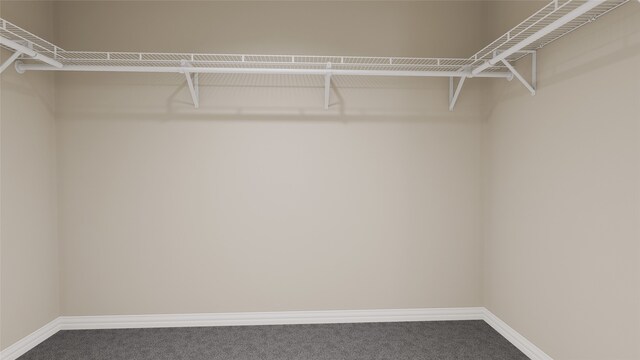 spacious closet featuring carpet flooring