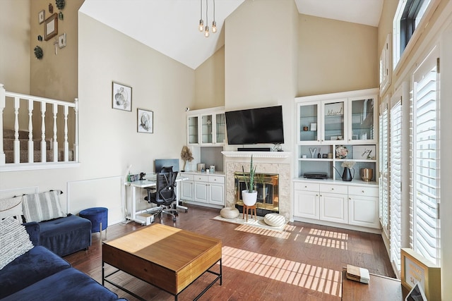 living room with dark hardwood / wood-style flooring and high vaulted ceiling