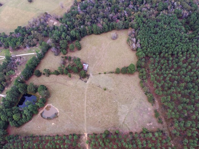 TBD Fm-1990, Palestine, TX 75801