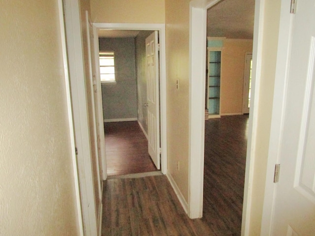 hall with dark wood-type flooring