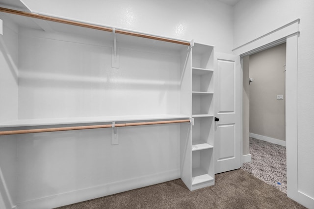 spacious closet featuring carpet