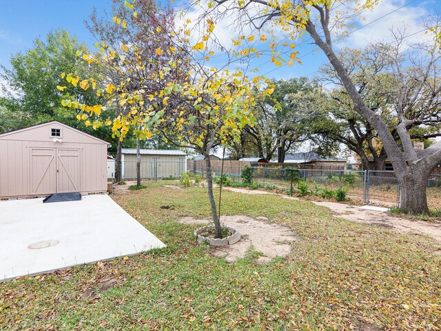 view of yard featuring a patio area and a storage unit