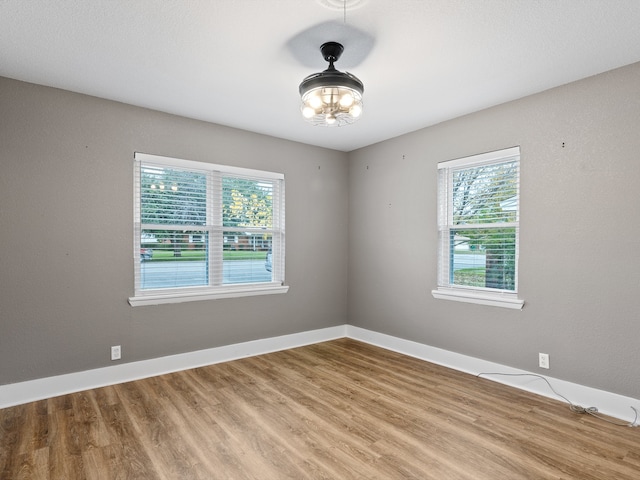 spare room featuring wood-type flooring and a wealth of natural light