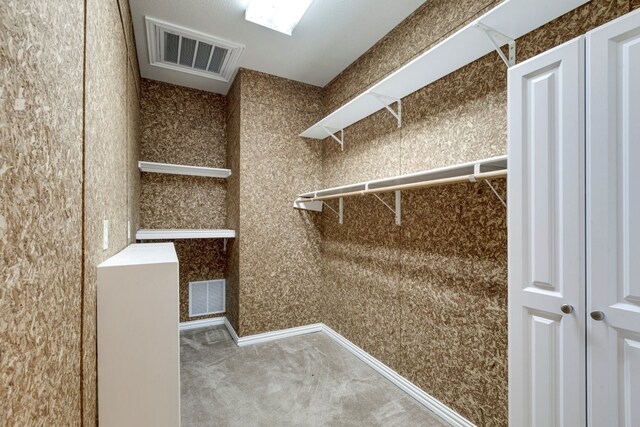 walk in closet featuring carpet floors