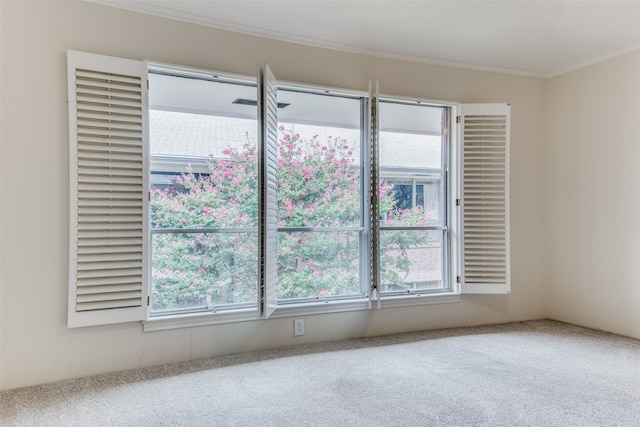 empty room featuring carpet, ornamental molding, and a wealth of natural light