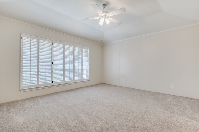 carpeted spare room with ceiling fan, a raised ceiling, and ornamental molding